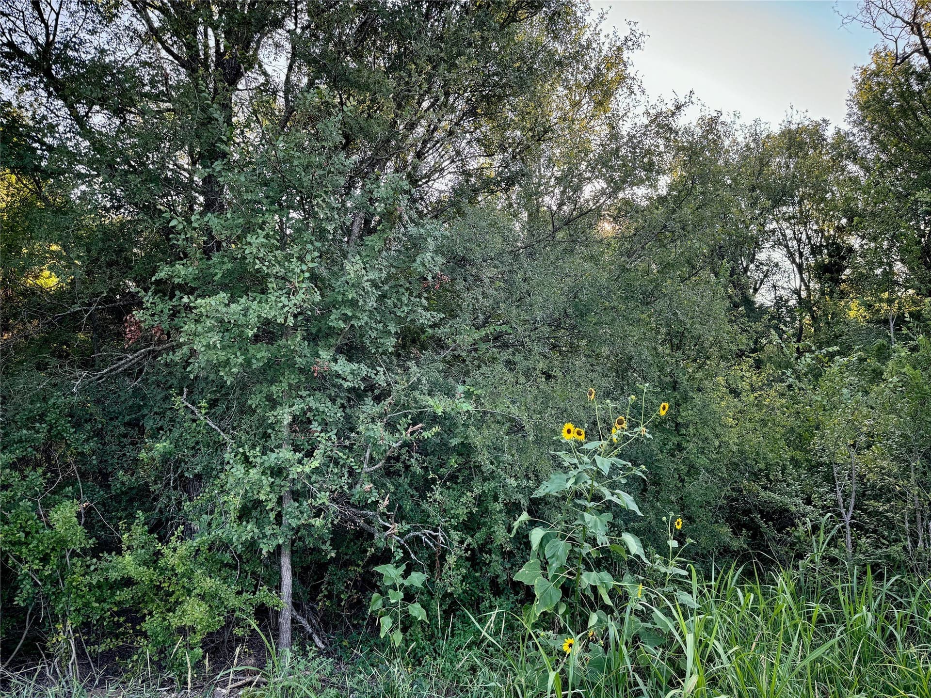 5.69 acres in Johnson County - photo 5