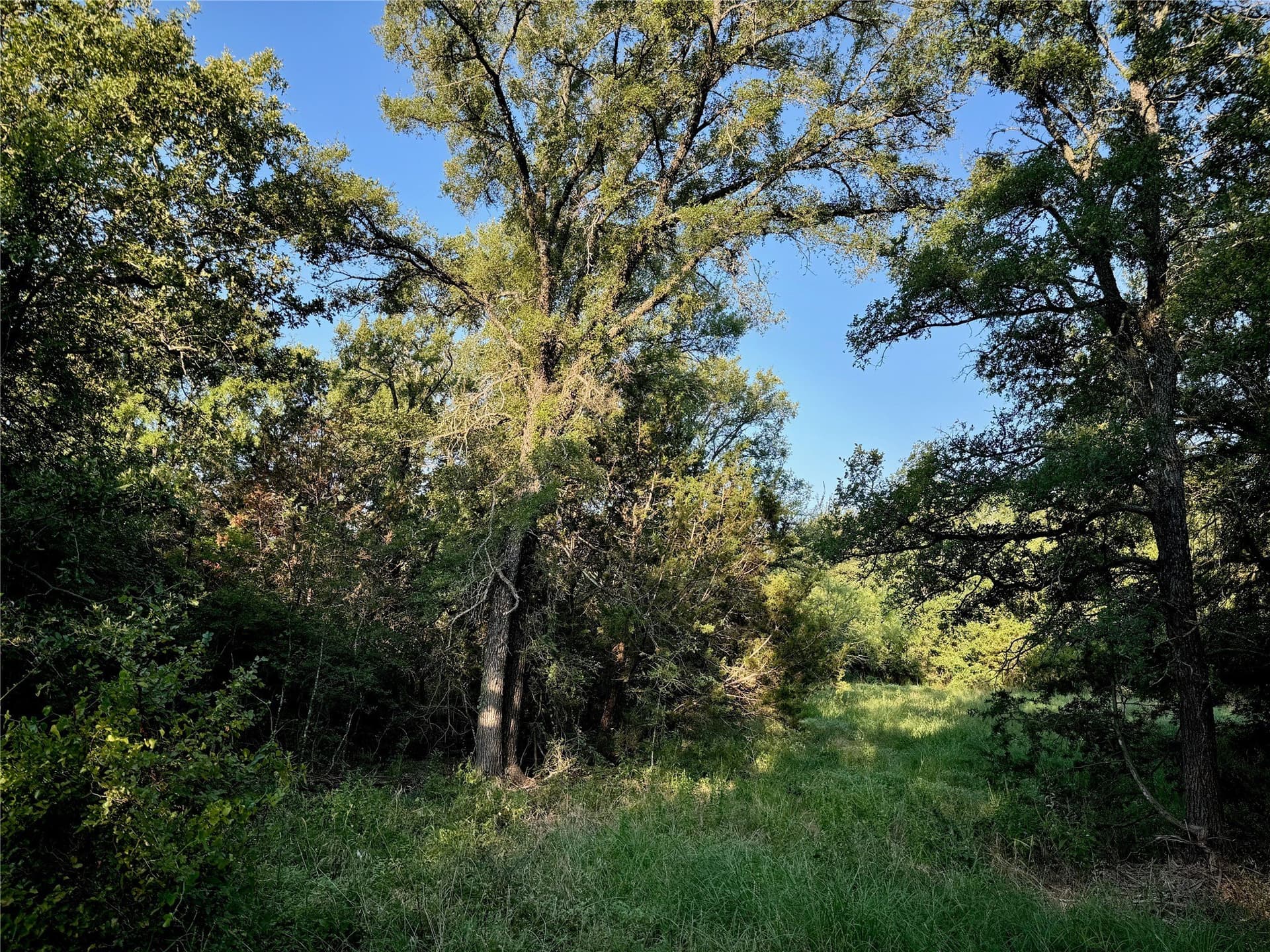 5.69 acres in Johnson County - photo 10