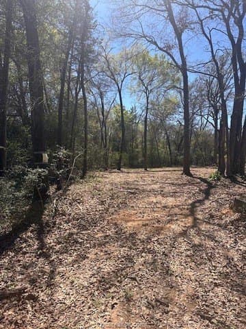 0.27 acres in Leon County - photo 8