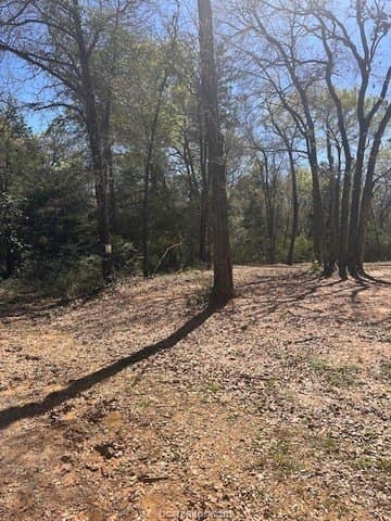 0.27 acres in Leon County - photo 7