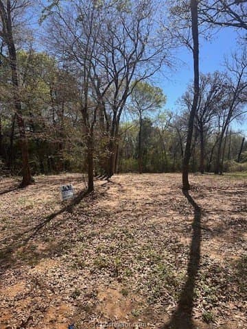 0.27 acres in Leon County - photo 5
