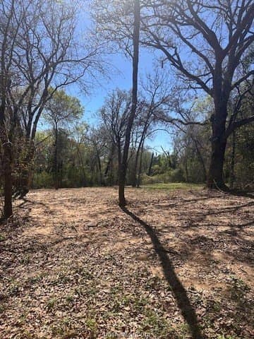 0.27 acres in Leon County - photo 4