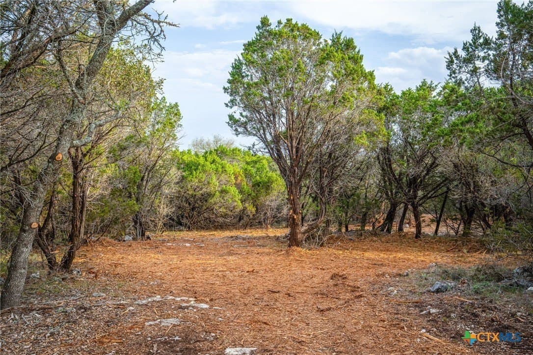 10 acres in Comal County - photo 22