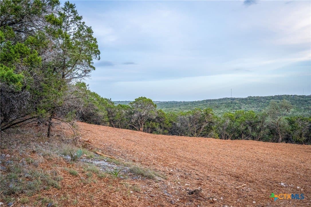 10 acres in Comal County - photo 26