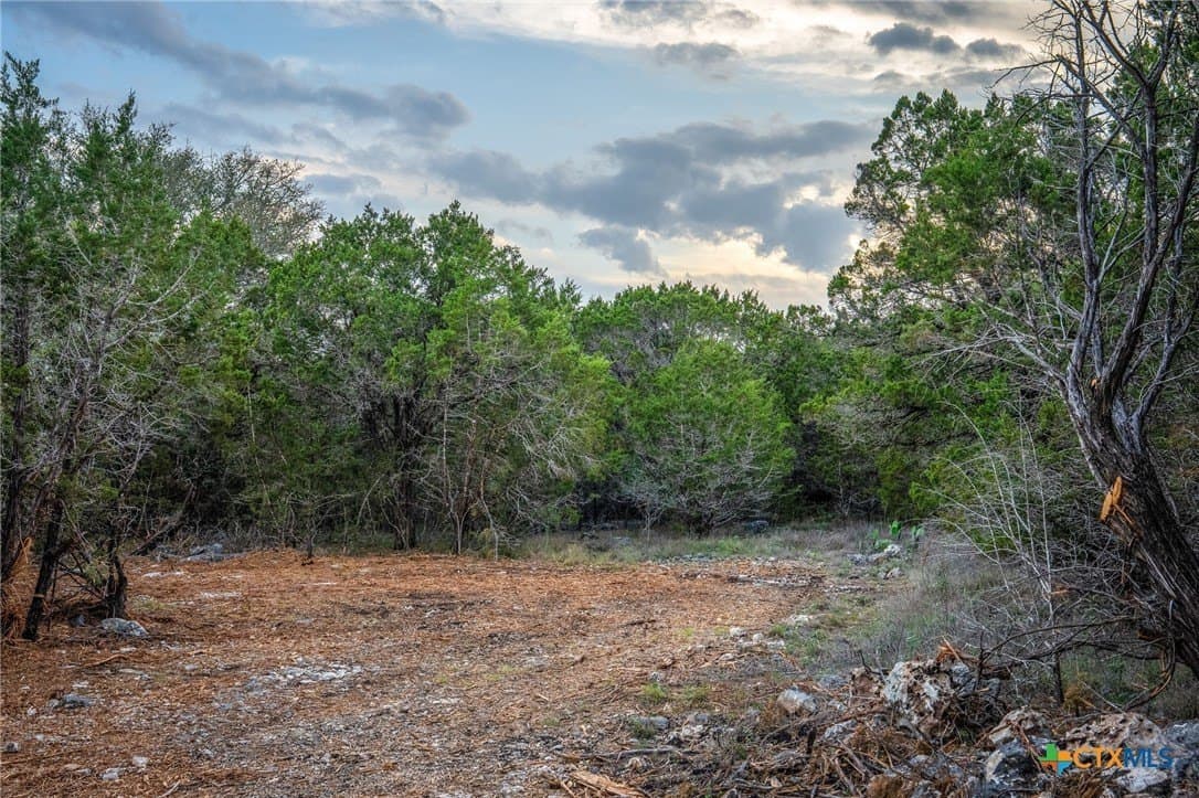 10 acres in Comal County - photo 23