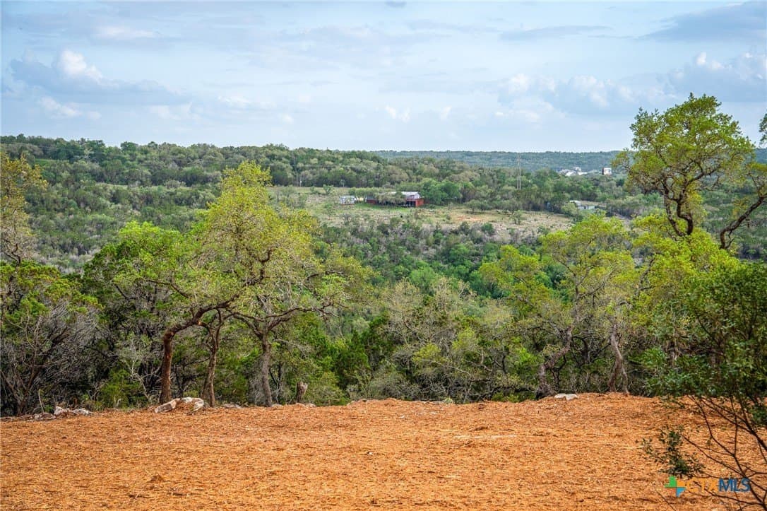 10 acres in Comal County - photo 10