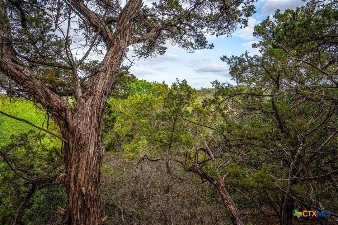 10 acres in Comal County - photo 17