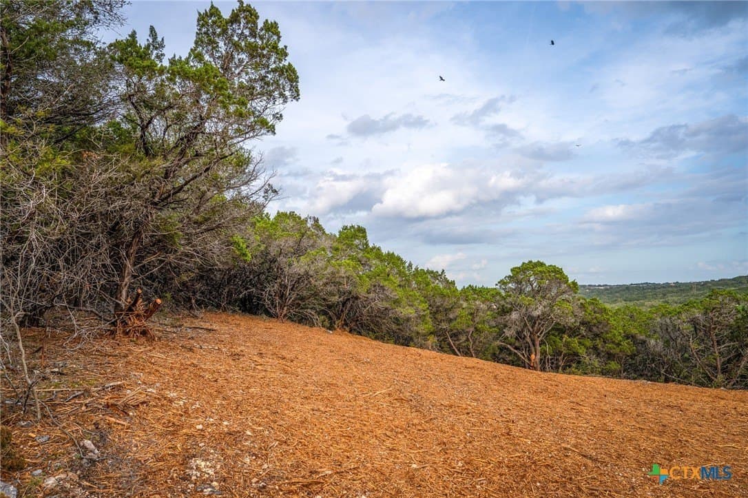 10 acres in Comal County - photo 11