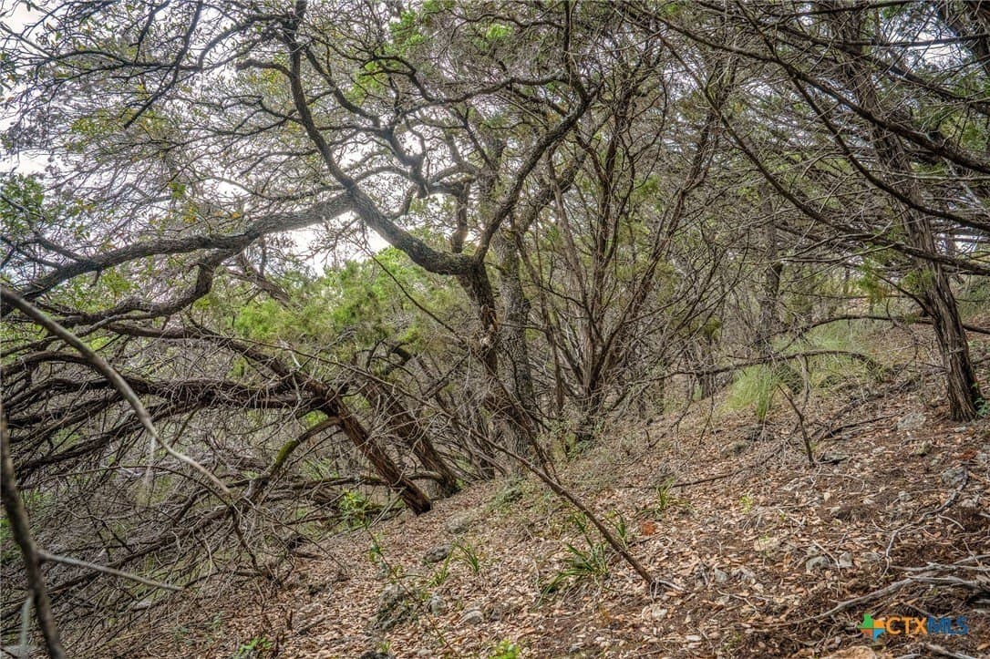 10 acres in Comal County - photo 18