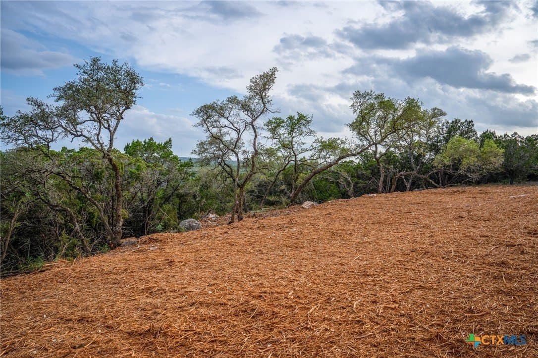 10 acres in Comal County - photo 19
