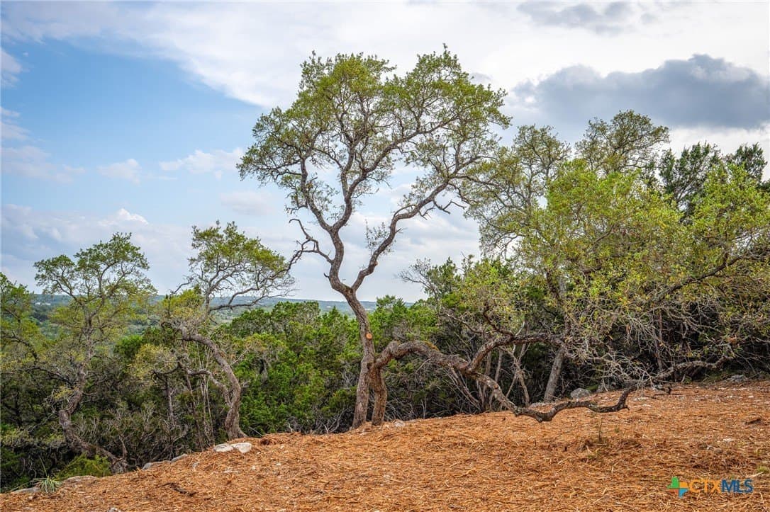 10 acres in Comal County - photo 14