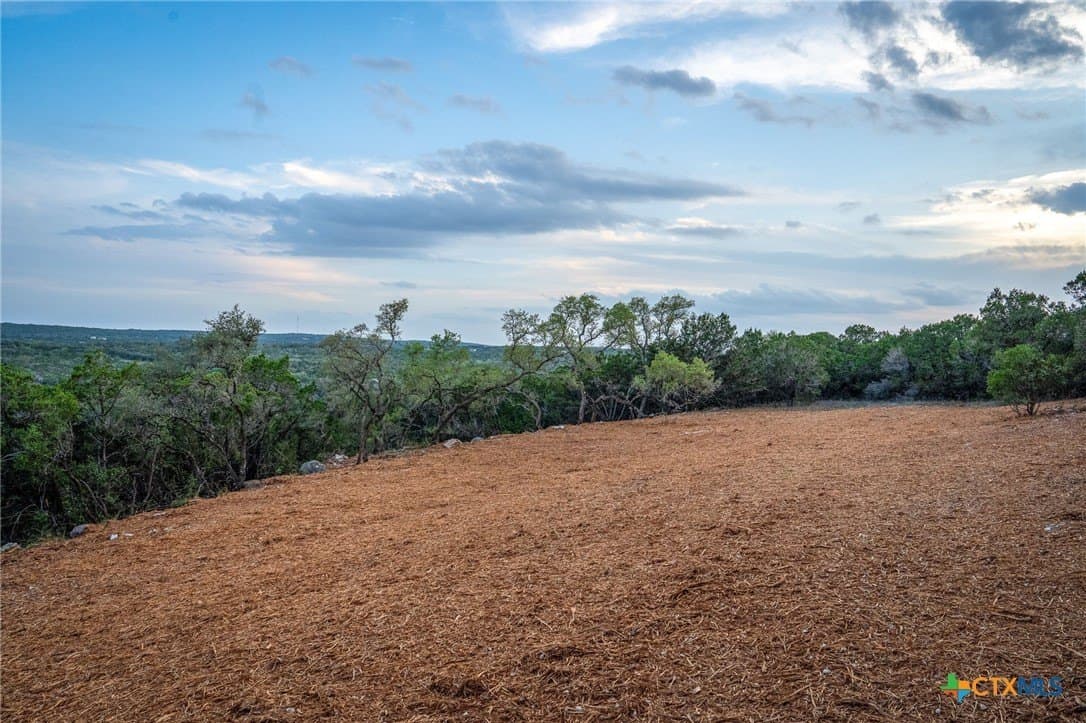 10 acres in Comal County - photo 25