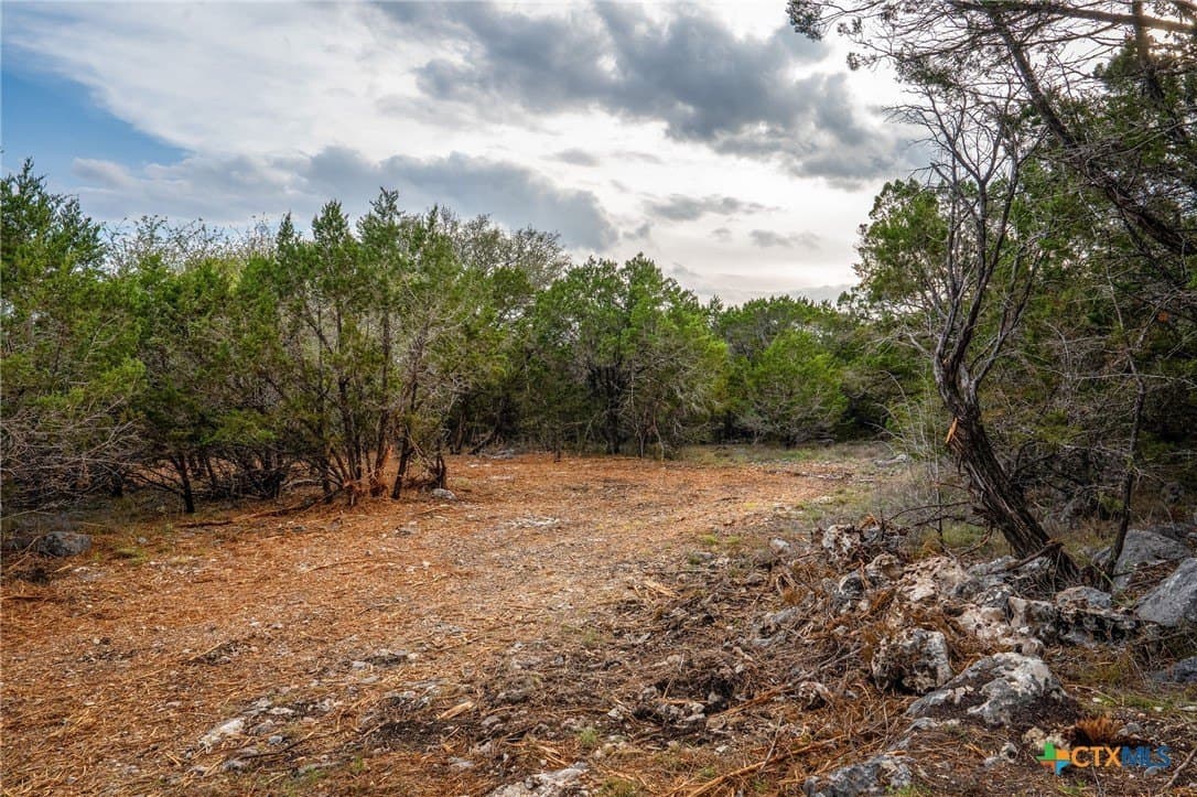 10 acres in Comal County - photo 9