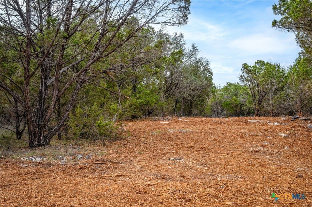 10 acres in Comal County - photo 21