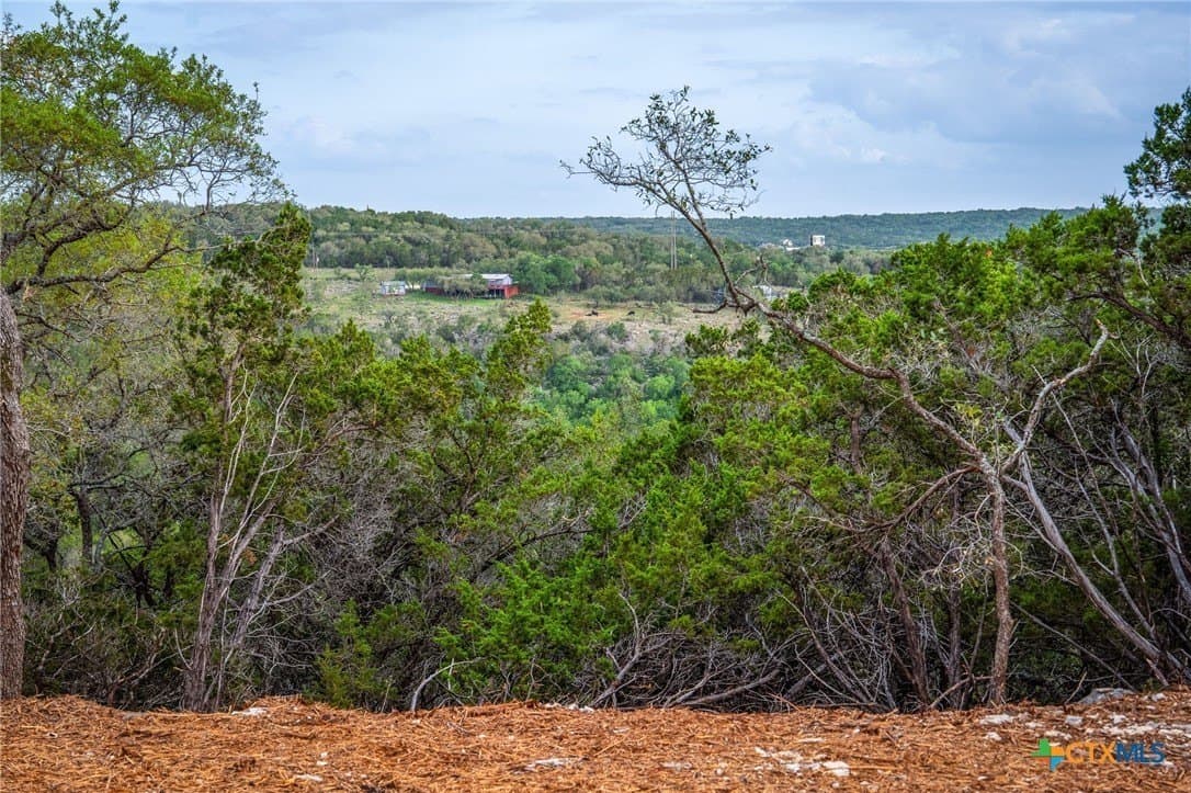 10 acres in Comal County - photo 20