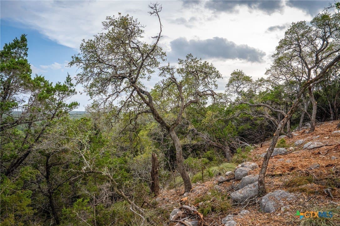 10 acres in Comal County - photo 15