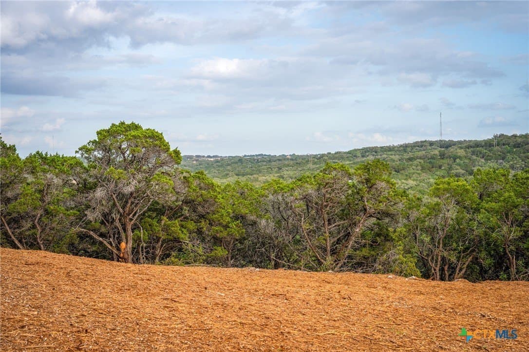 10 acres in Comal County - photo 12