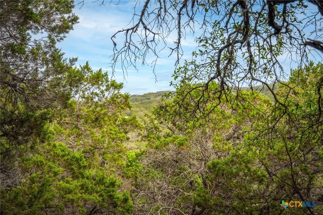 10 acres in Comal County - photo 16