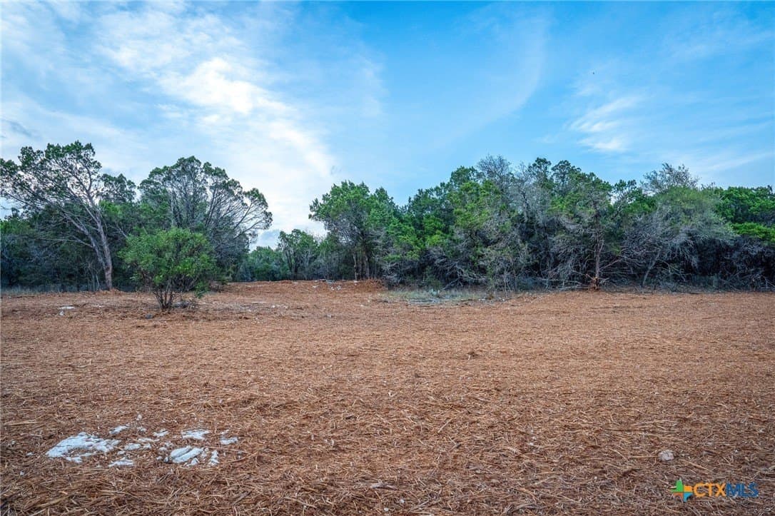 10 acres in Comal County - photo 24