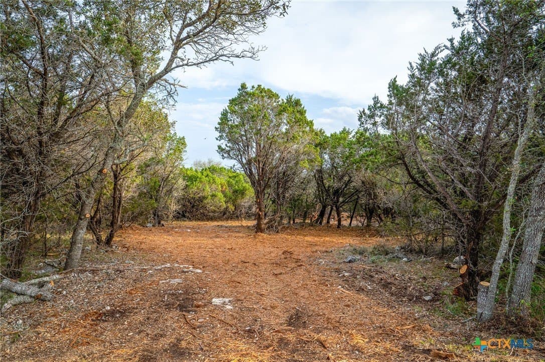10 acres in Comal County - photo 8