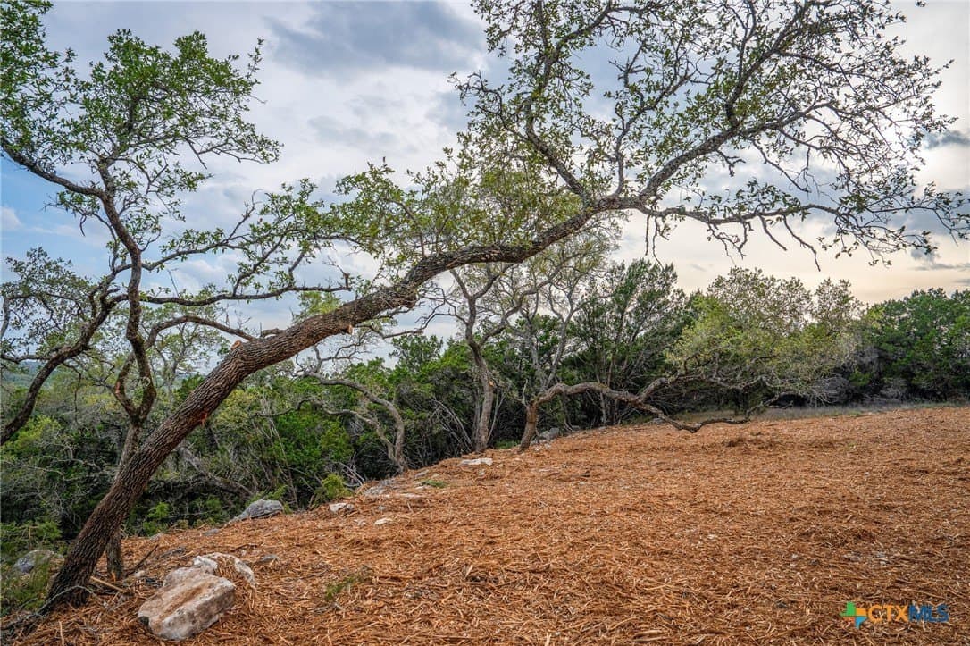 10 acres in Comal County - photo 13