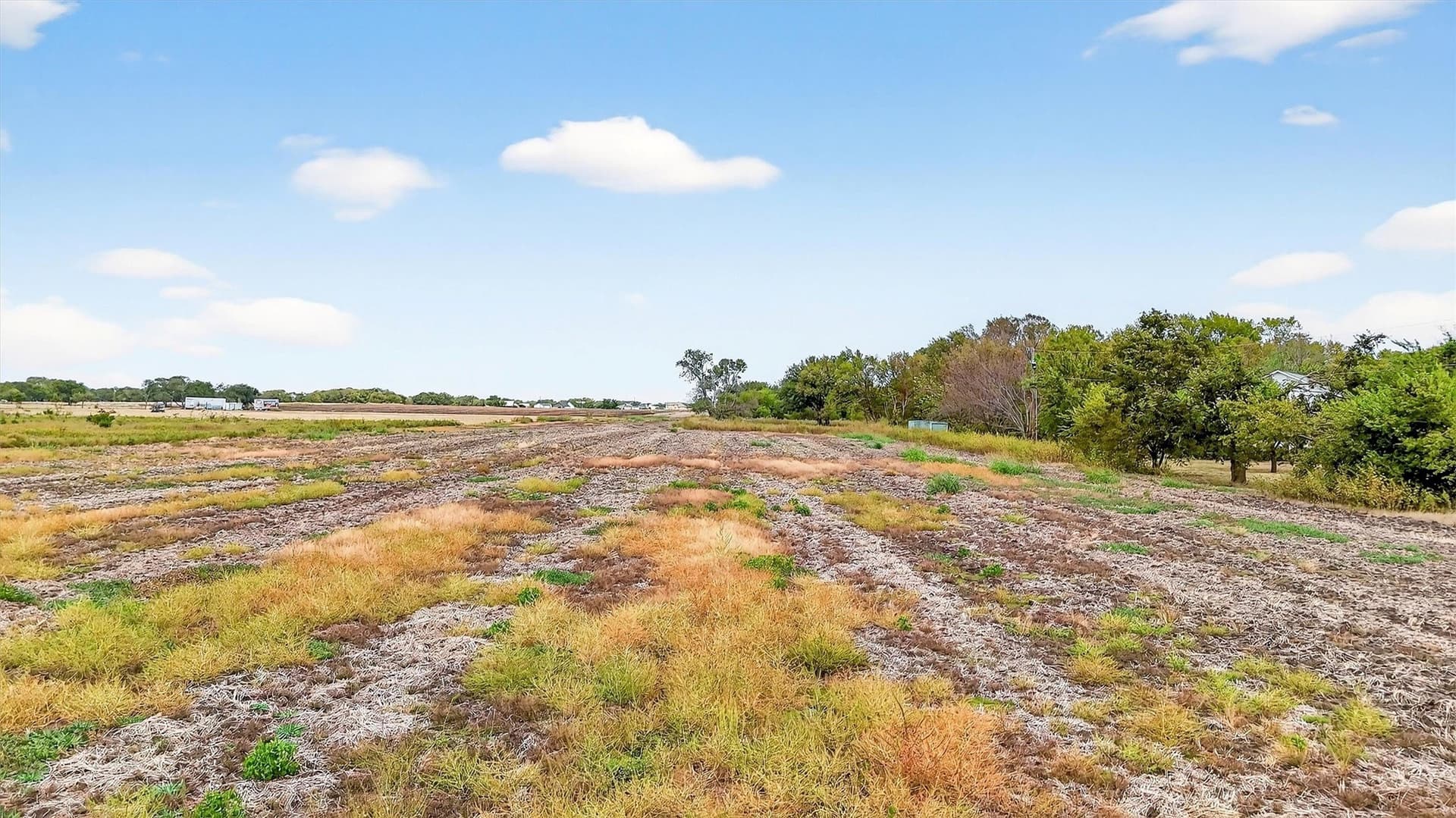 40 acres in Grayson County - photo 16