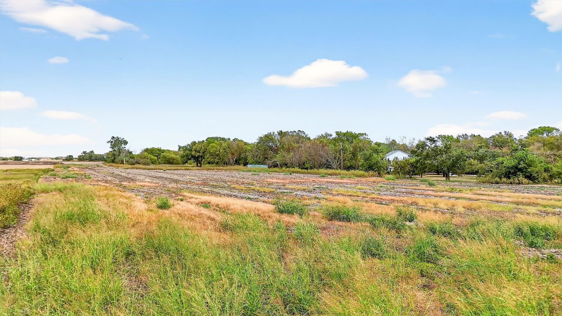 40 acres in Grayson County - photo 15