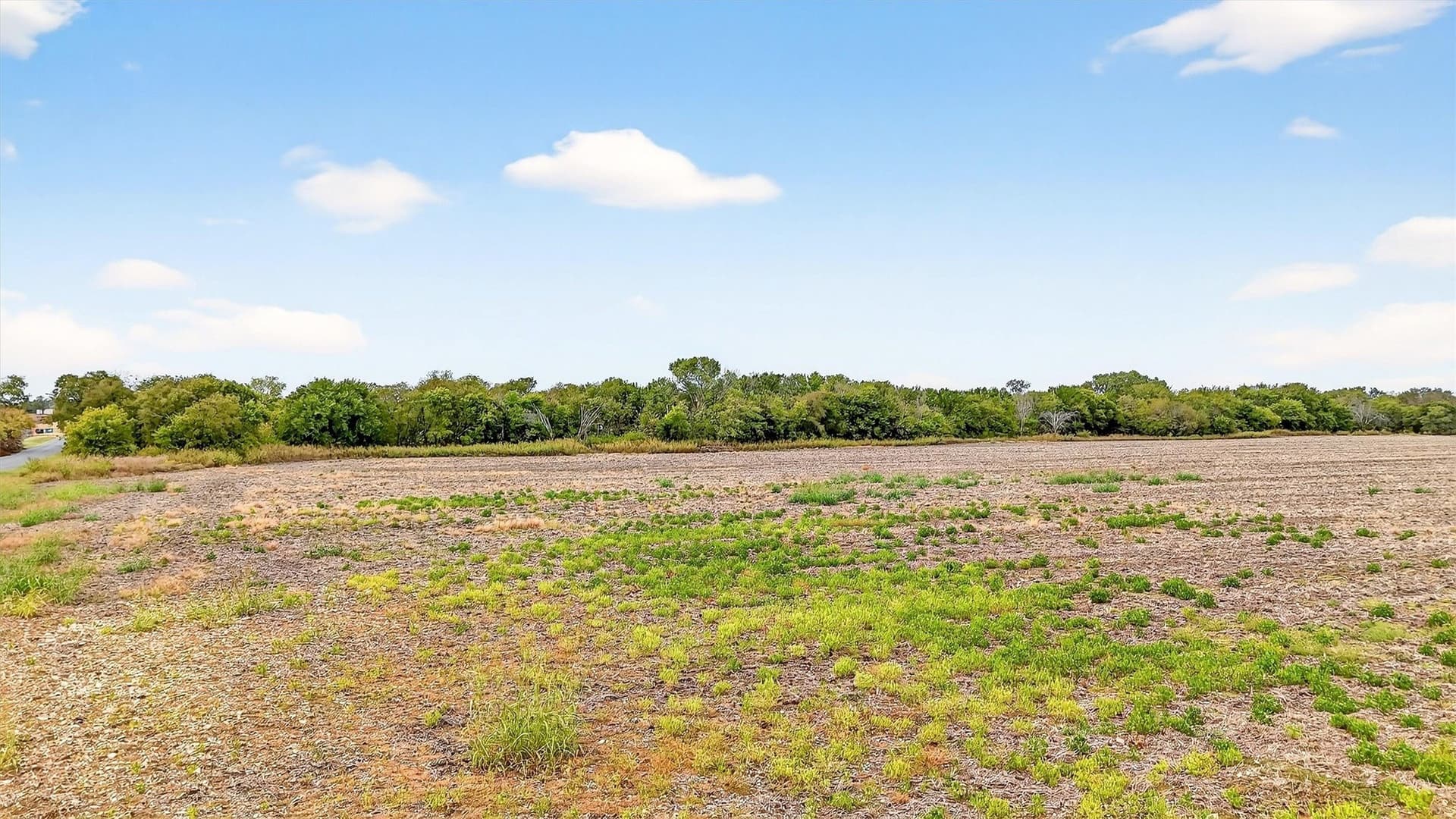 40 acres in Grayson County - photo 14