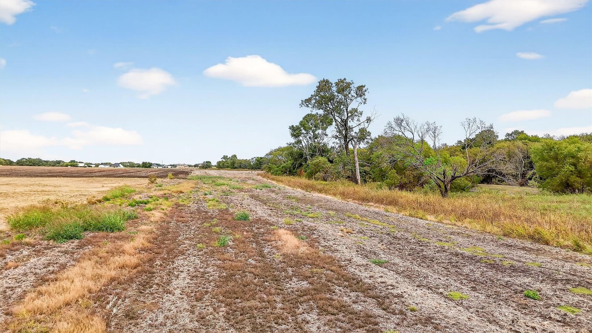 40 acres in Grayson County - photo 8