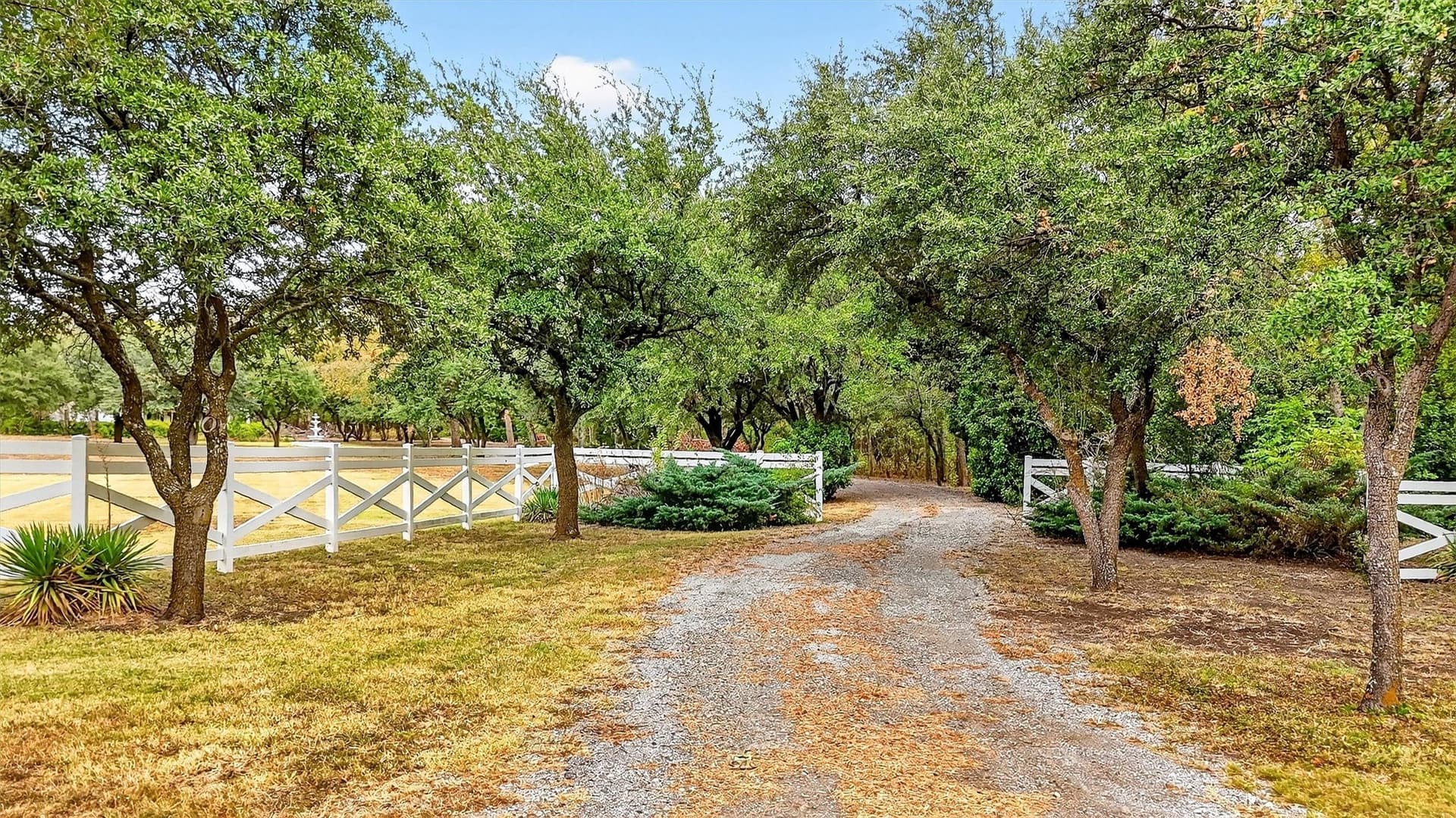 40 acres in Grayson County - photo 7