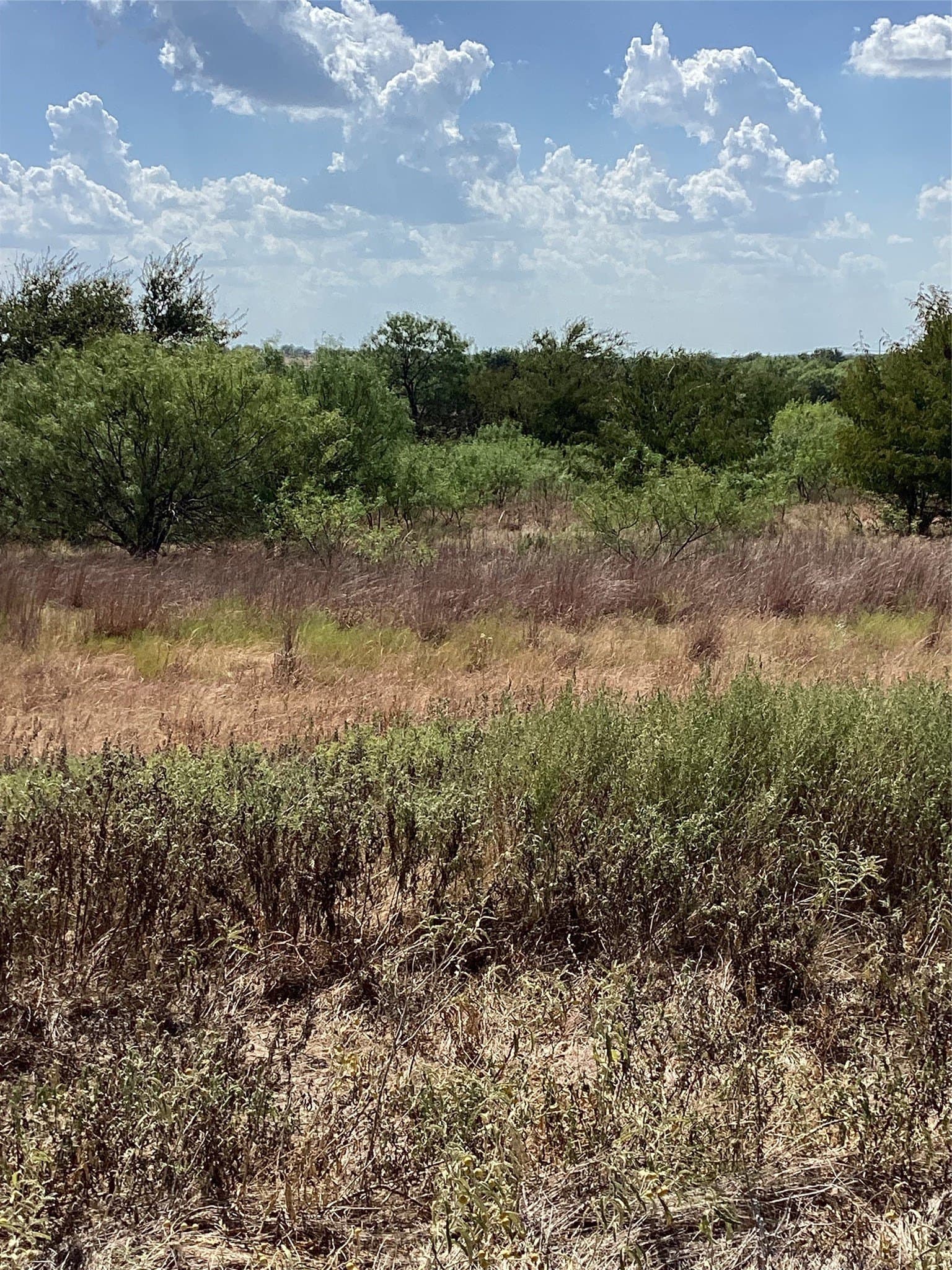 2.32 acres in Parker County - photo 2