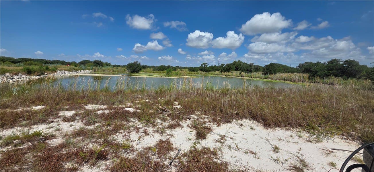 6.59 acres in San Patricio County gallery image 3