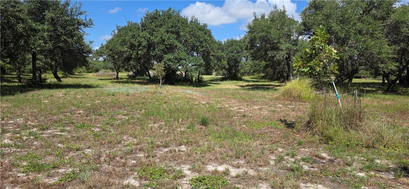 6.59 acres in San Patricio County gallery image 2