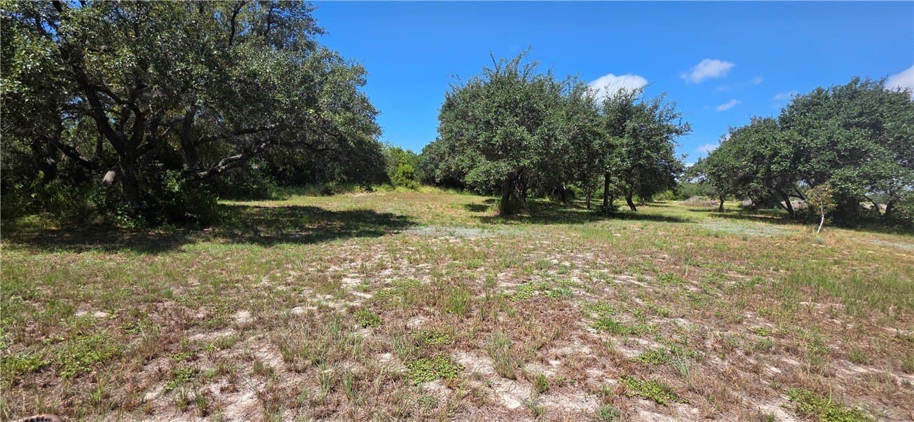 6.59 acres in San Patricio County gallery image 4