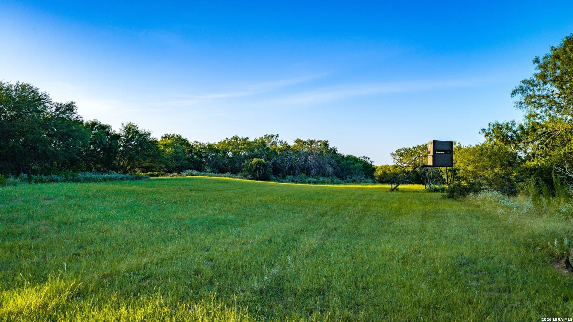 70 acres in Karnes County - photo 7