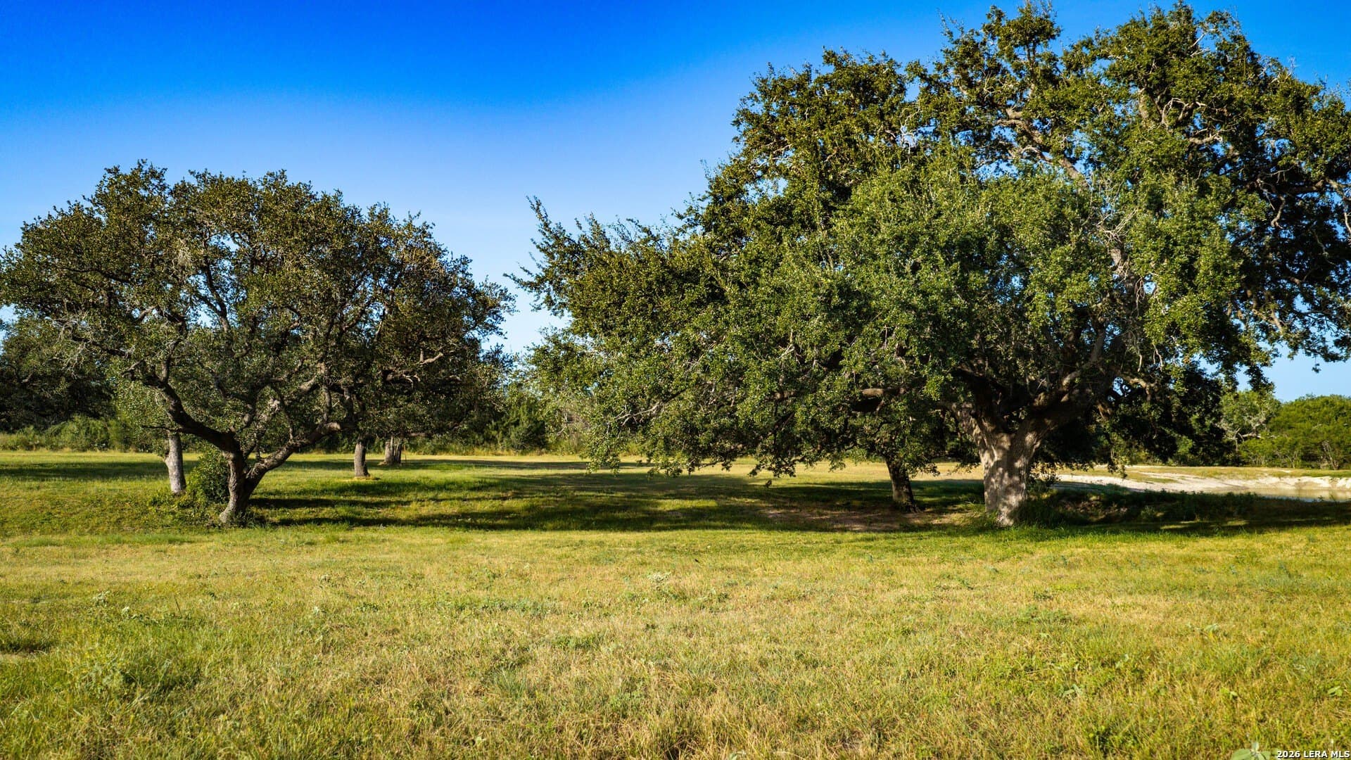70 acres in Karnes County - photo 37