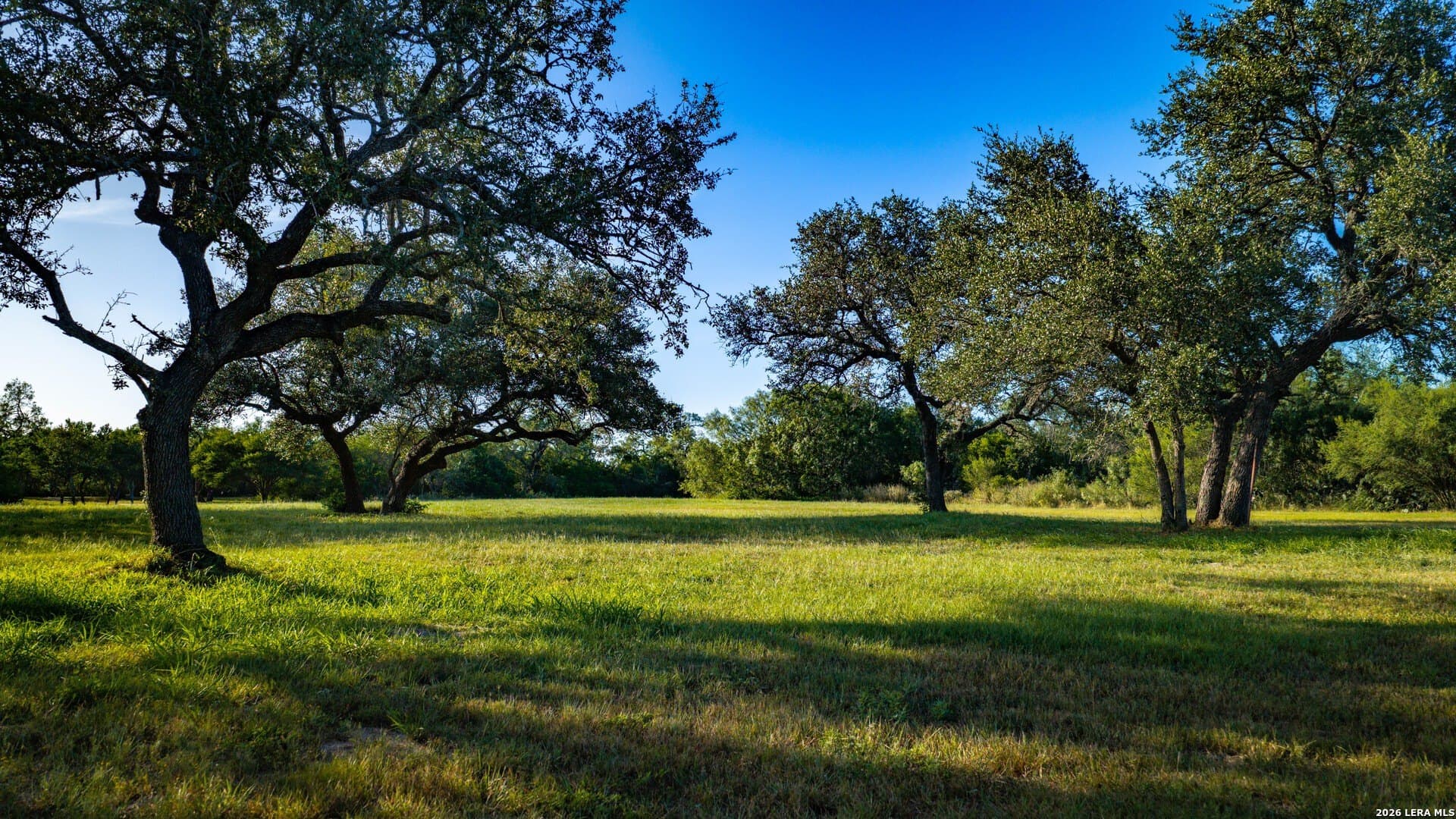 70 acres in Karnes County - photo 38