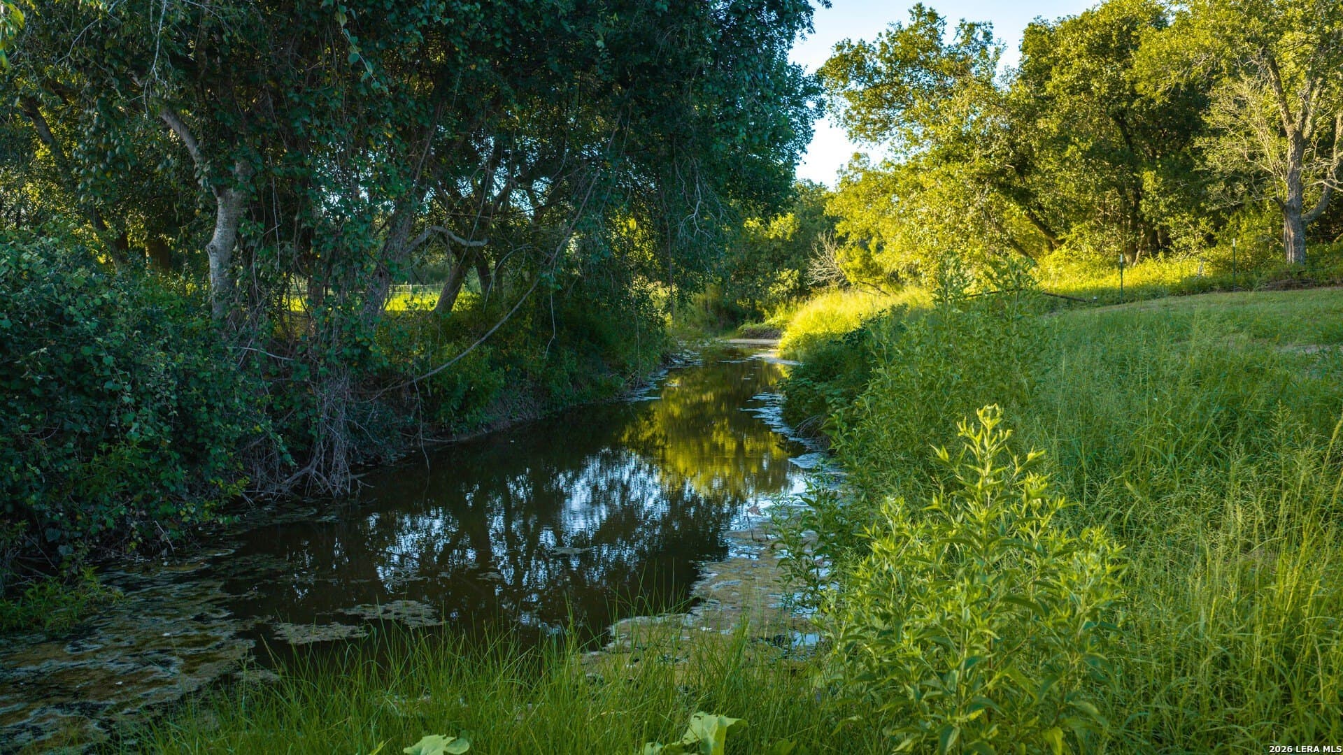 70 acres in Karnes County - photo 33