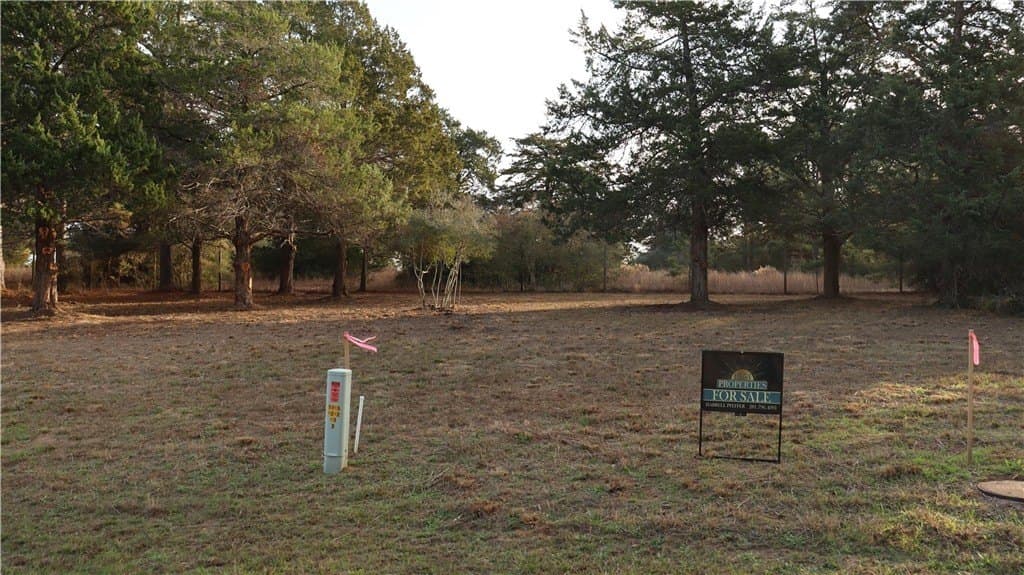 0.32 acres in COLORADO County - photo 2