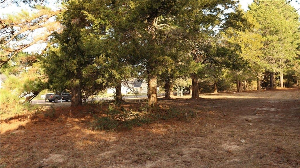 0.32 acres in COLORADO County - photo 3