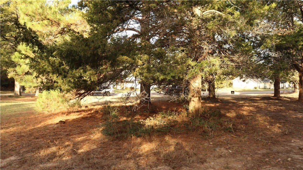 0.32 acres in COLORADO County - photo 5