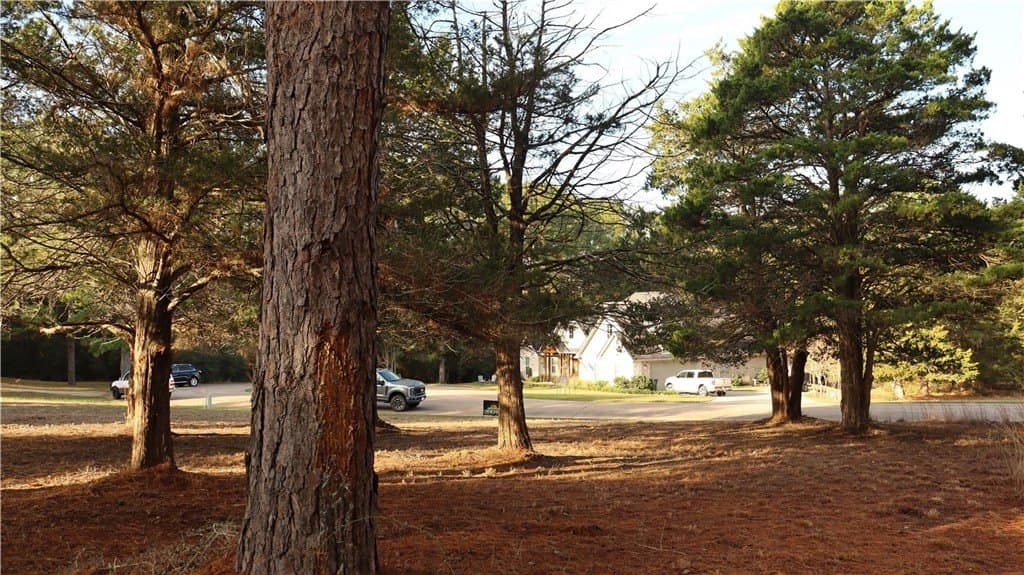 0.32 acres in COLORADO County - photo 8