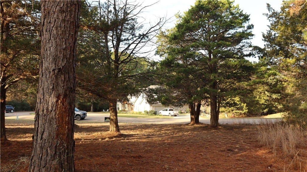 0.32 acres in COLORADO County - photo 6