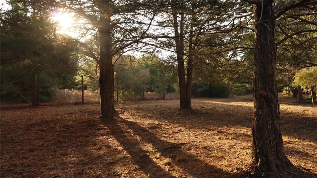 0.32 acres in COLORADO County - photo 9