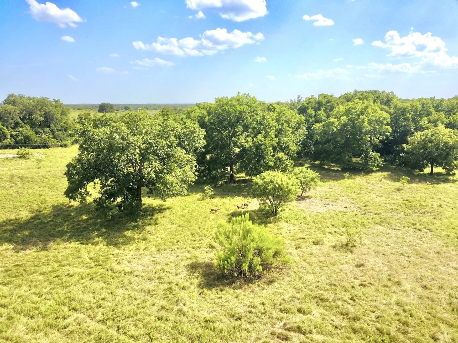 12.59 acres in Mills County - photo 3