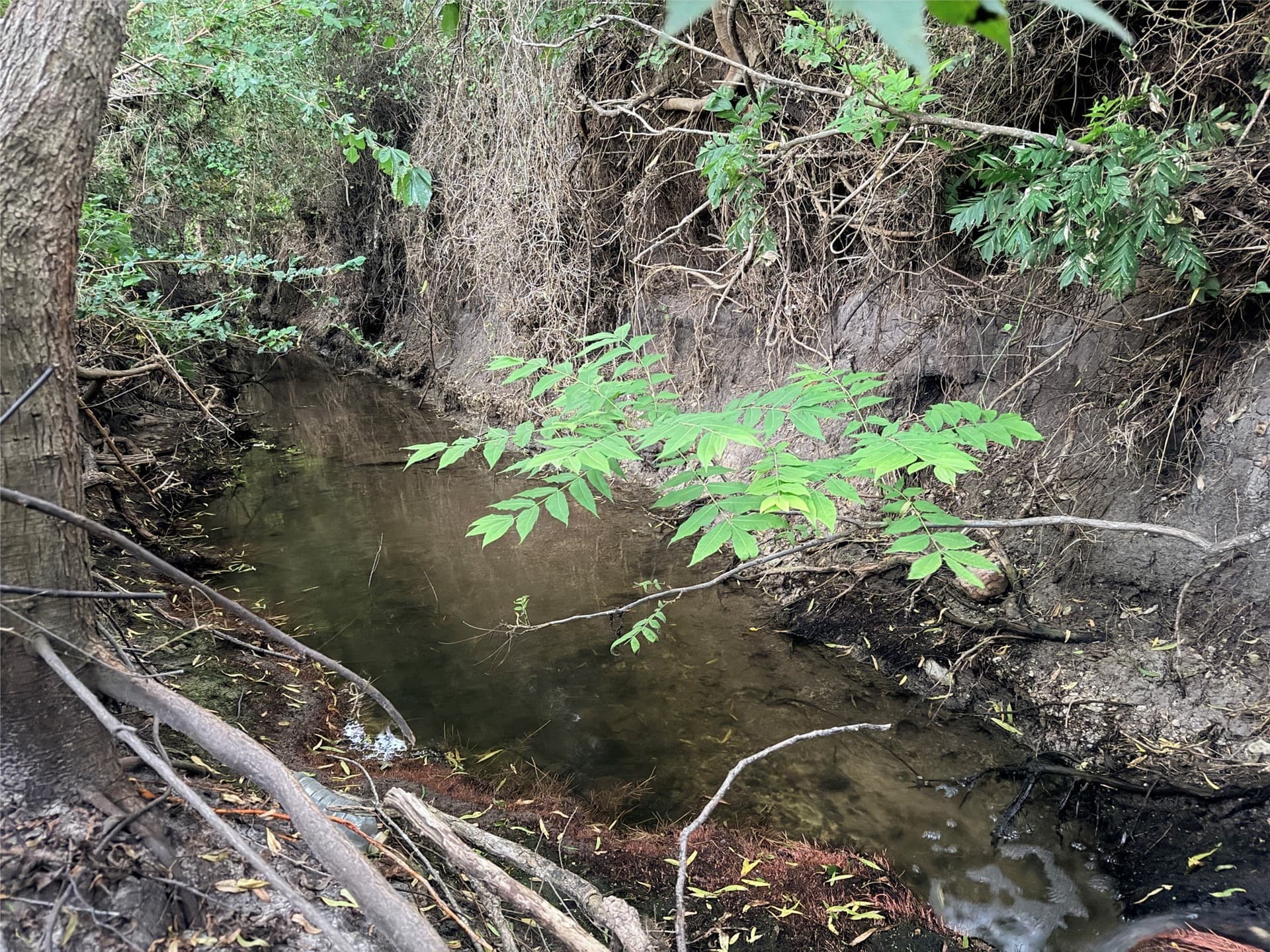12.59 acres in Mills County - photo 27