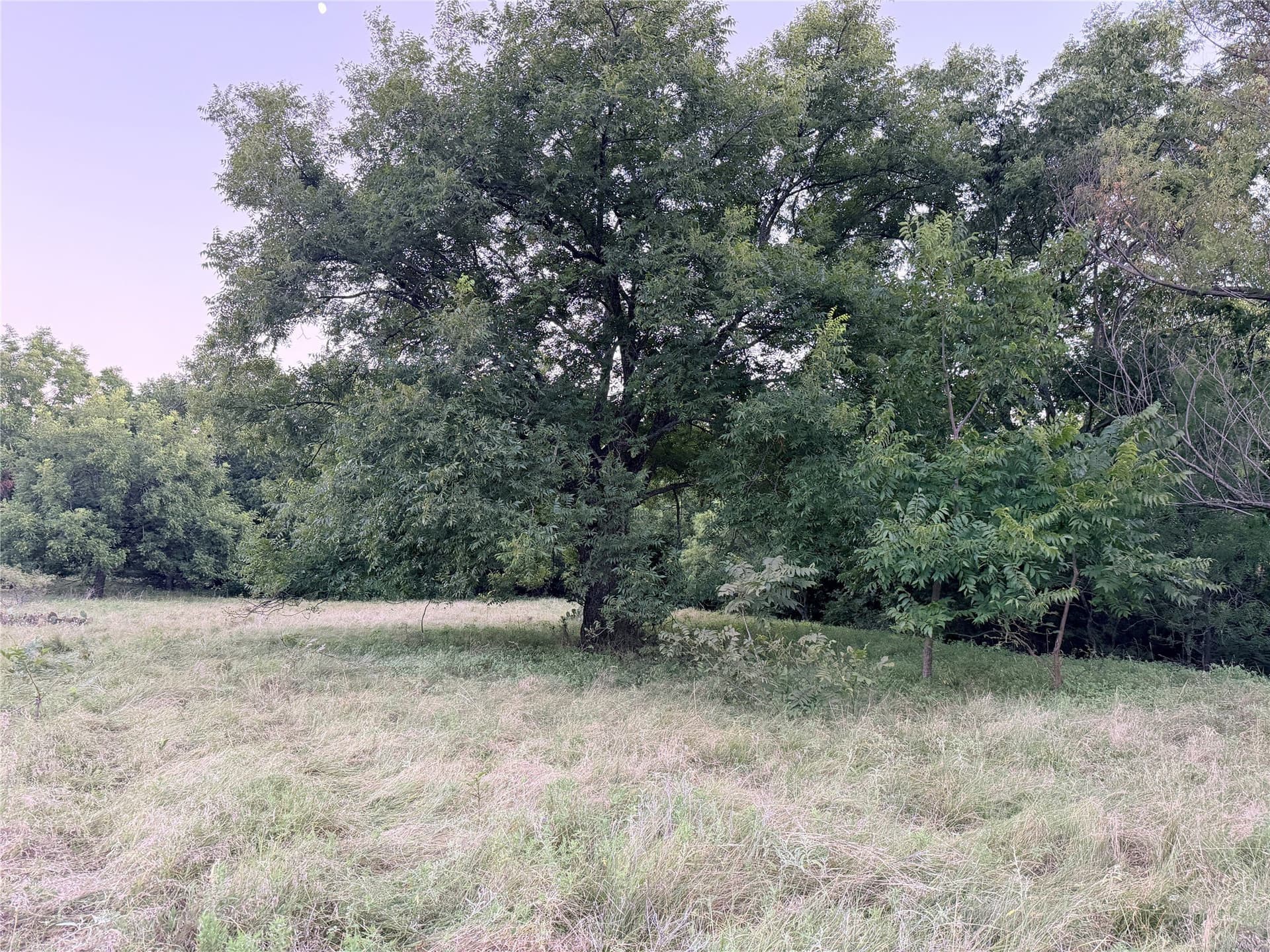 12.59 acres in Mills County - photo 30