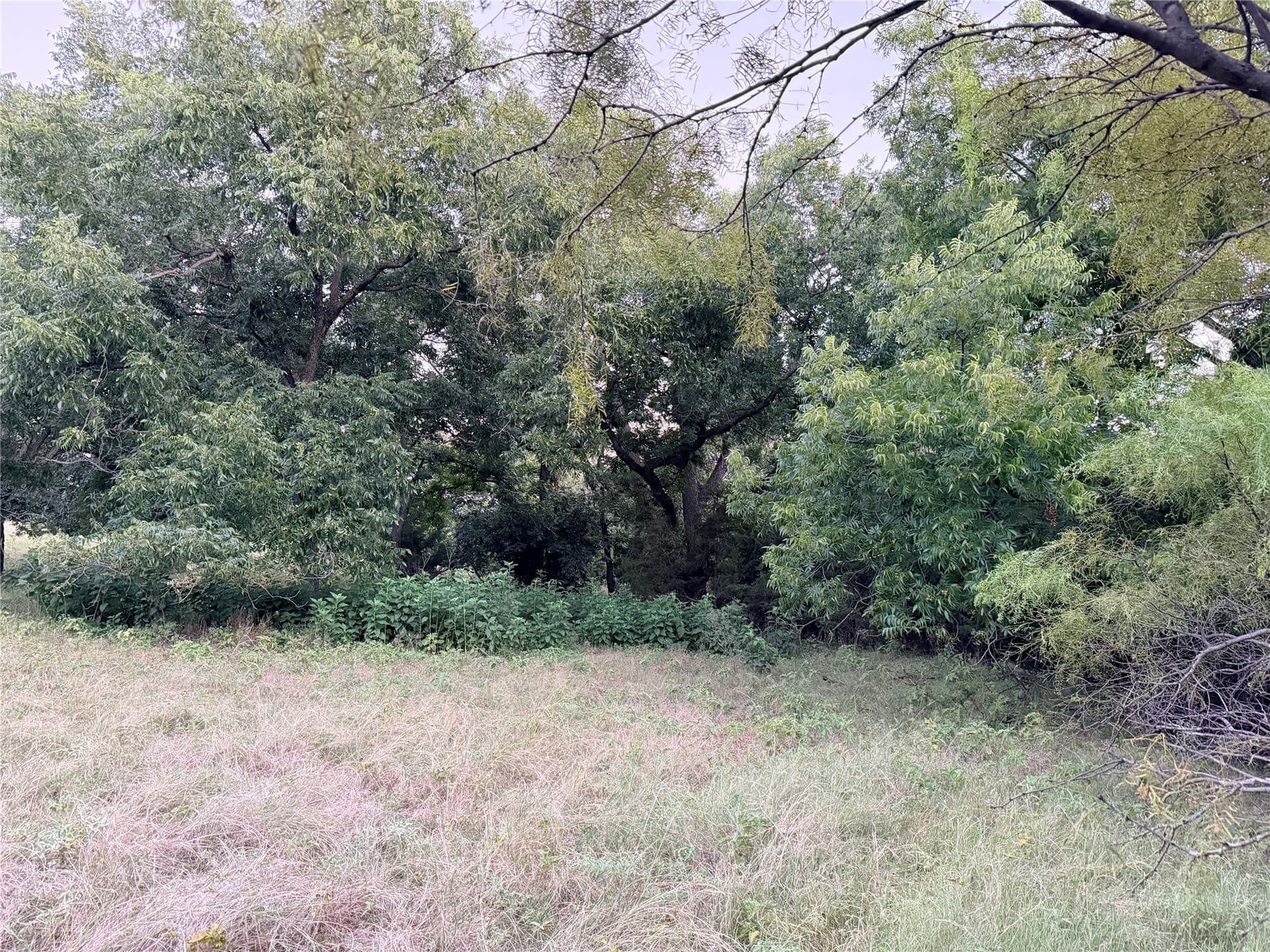 12.59 acres in Mills County - photo 31