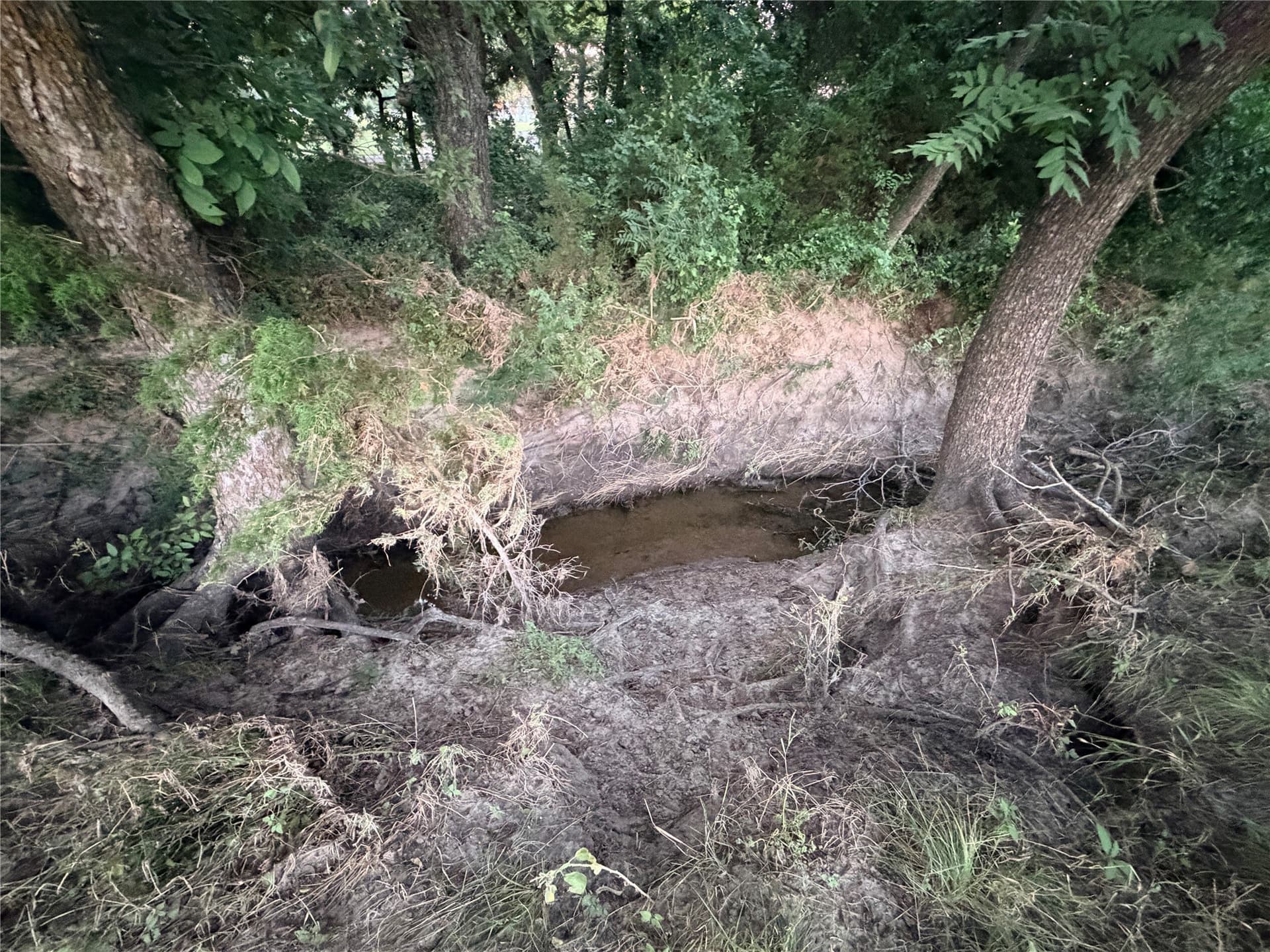 12.59 acres in Mills County - photo 24