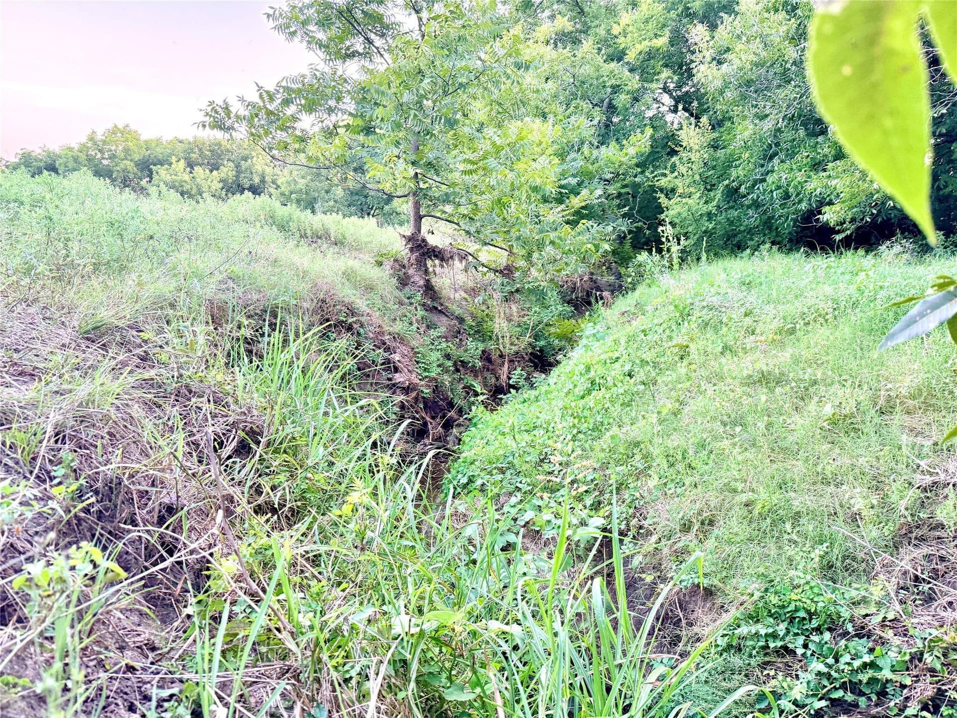 12.59 acres in Mills County - photo 20